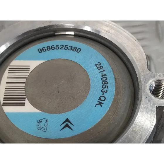 Bomba Direccion para Peugeot 206+