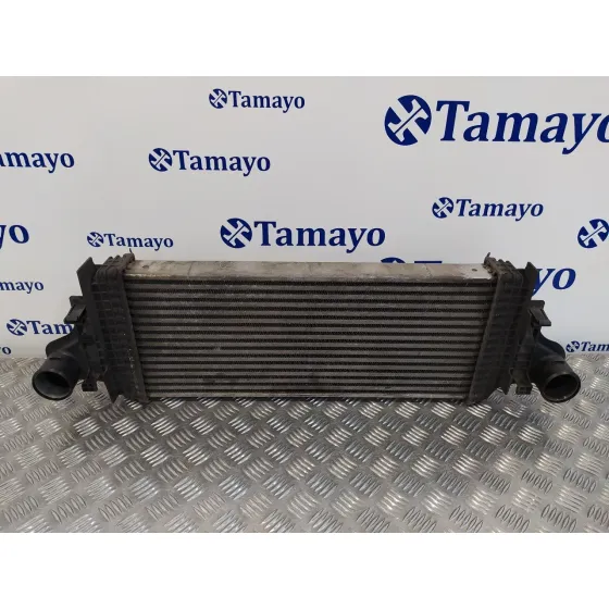Intercooler para Mercedes-Benz Clase M (W164)