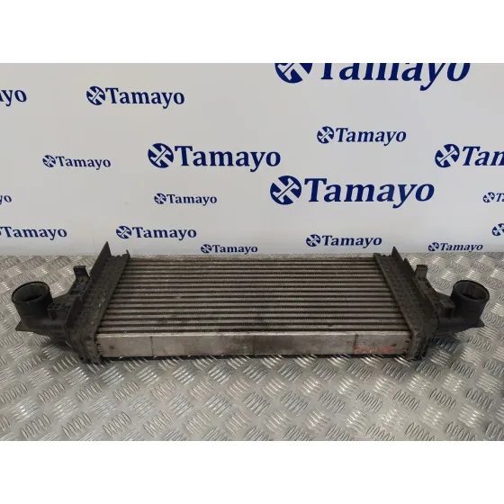 Intercooler para Mercedes-Benz Clase M (W164)