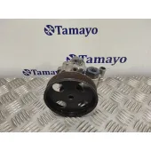 Bomba Direccion para Peugeot 406 Berlina (S1/S2)