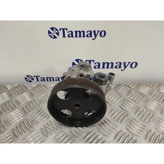 Bomba Direccion para Peugeot 406 Berlina (S1/S2)