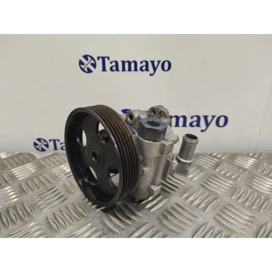 Bomba Direccion para Peugeot 406 Berlina (S1/S2)