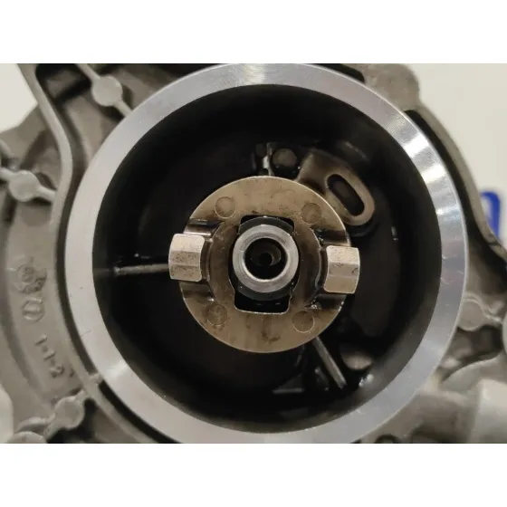 Depresor Freno / Bomba Vacio para Bmw Serie 3 Compact (E46)