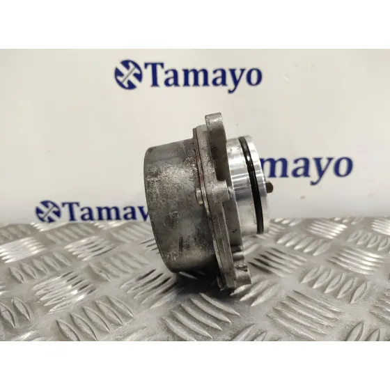 Depresor Freno / Bomba Vacio para Bmw Serie 3 Compact (E46)