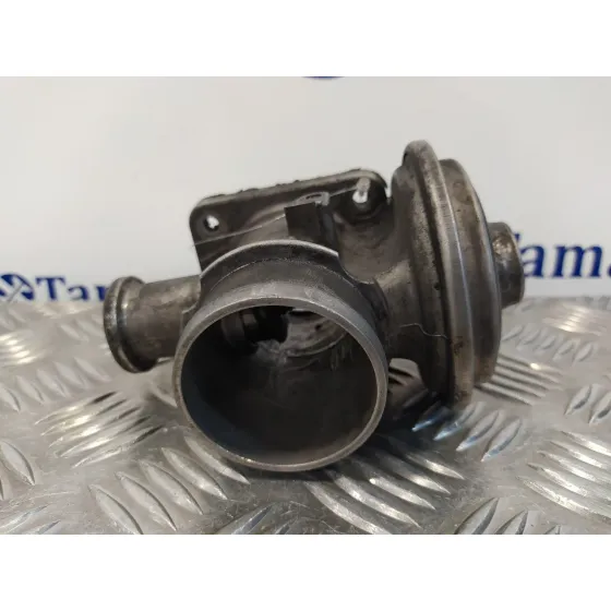 Valvula Egr para Bmw Serie 3 Berlina (E46)