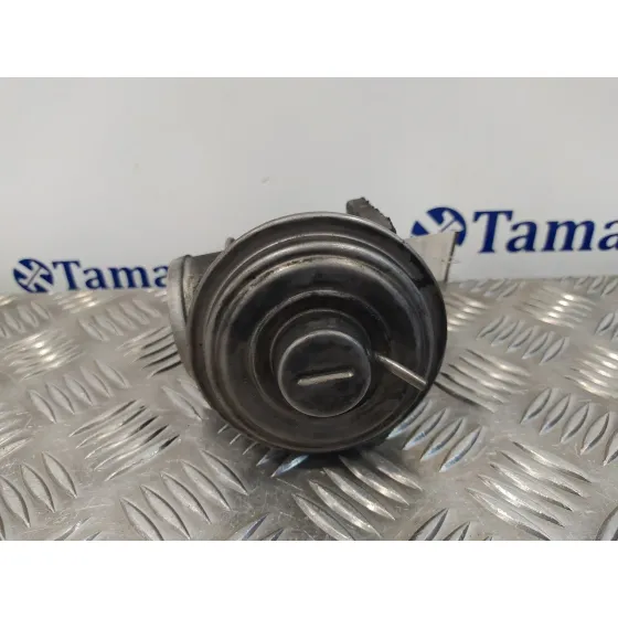 Valvula Egr para Bmw Serie 3 Berlina (E46)