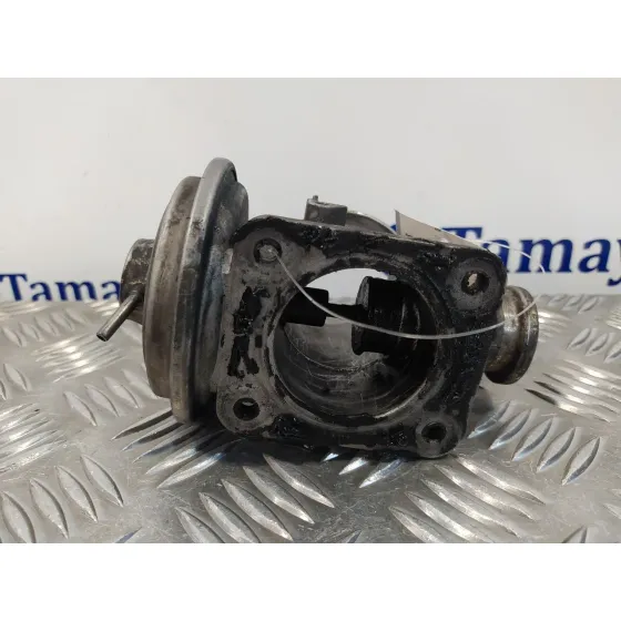 Valvula Egr para Bmw Serie 3 Berlina (E46)
