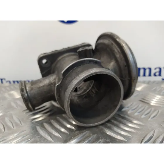 Valvula Egr para Bmw Serie 3 Berlina (E46)