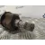 Transmision Delantera Izquierda para Opel Corsa D