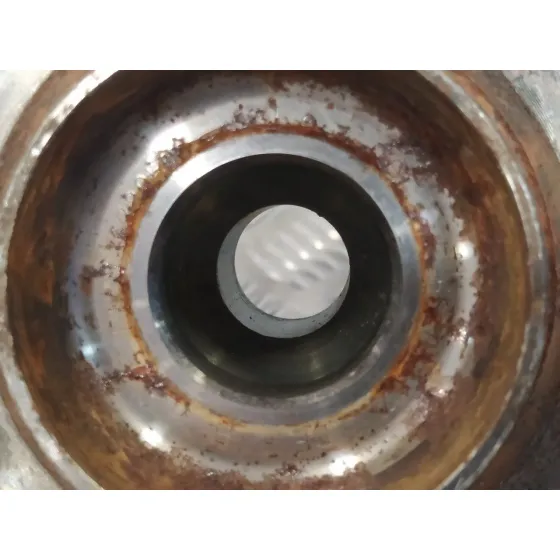 Mangueta Delantera Izquierda para Bmw X1 (E84)