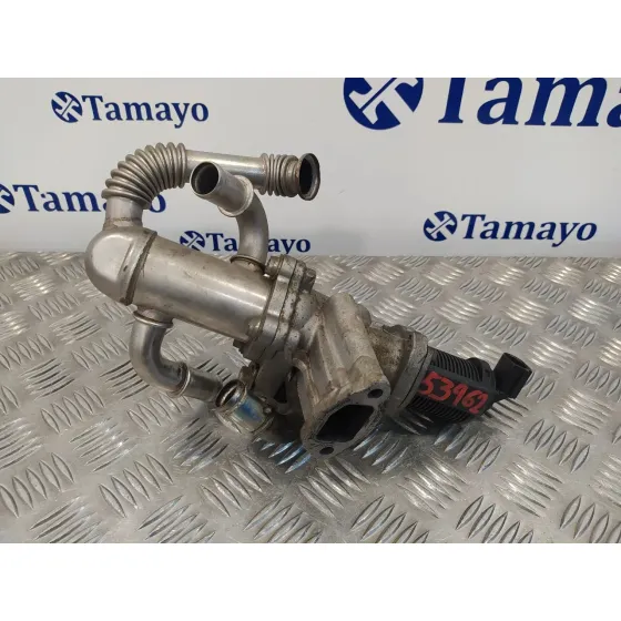 Valvula Egr para Fiat Grande Punto (199)