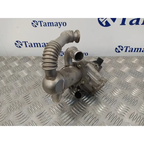 Valvula Egr para Fiat Grande Punto (199)