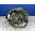 Caja Cambios para Peugeot 206 Berlina