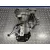 Caja Cambios para Ford Fiesta (Cb1)