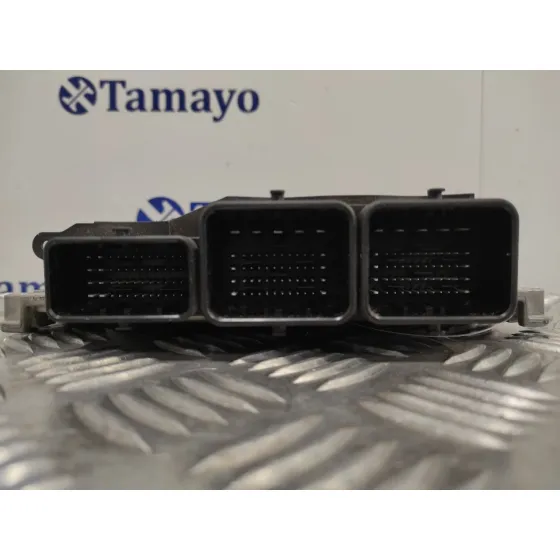 Centralita Motor Uce para Ford Fiesta (Cb1)