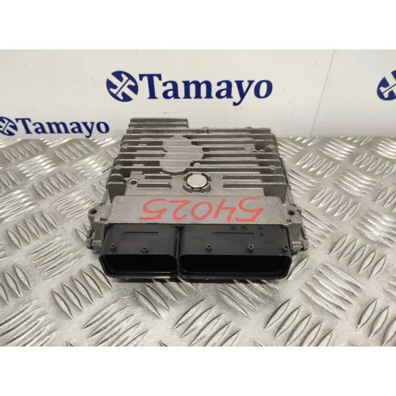 Centralita Motor Uce para Seat Ibiza (6J5)