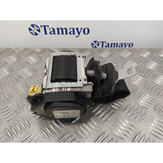 Cinturon Seguridad Delantero Izquierdo para Mercedes-Benz Clase M (W164)