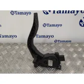 Potenciometro Acelerador para Audi A4 Avant (8K5) (2008)