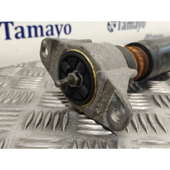 Amortiguador Trasero Derecho para Ford Kuga (Cbv)