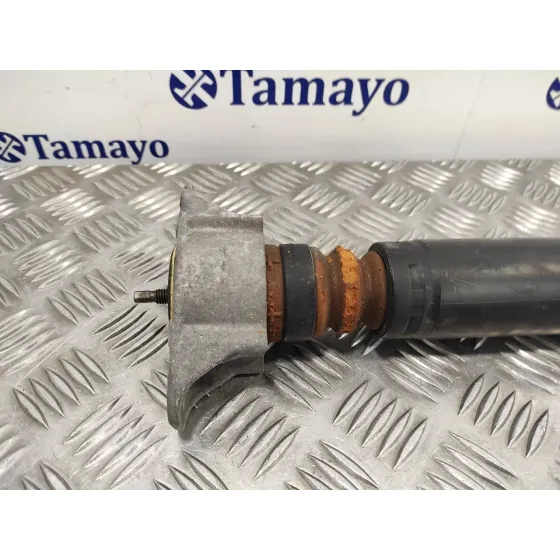 Amortiguador Trasero Derecho para Ford Kuga (Cbv)