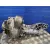 Diferencial Delantero para Mercedes-Benz Clase M (W164)
