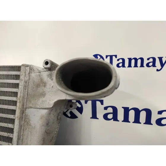 Intercooler para Nissan Cabstar Tl35