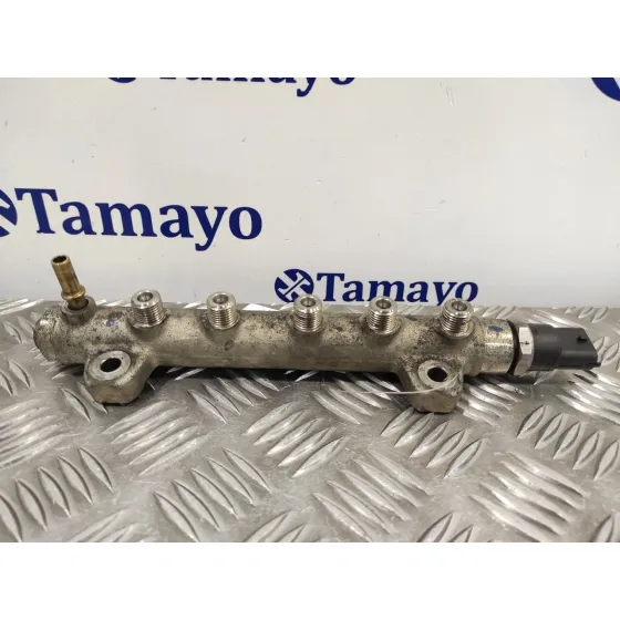 Rampa Inyectora para Peugeot 407 Sw