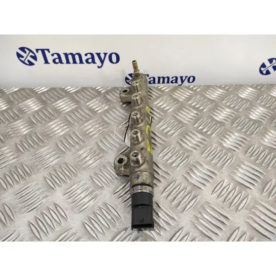 Rampa Inyectora para Peugeot 407 Sw