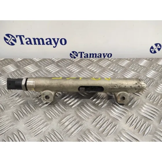 Rampa Inyectora para Peugeot 407 Sw
