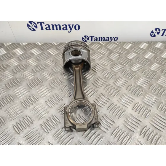 Piston para Seat Altea Xl (5P5)