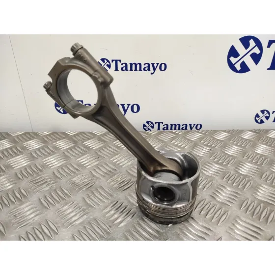Piston para Seat Altea Xl (5P5)