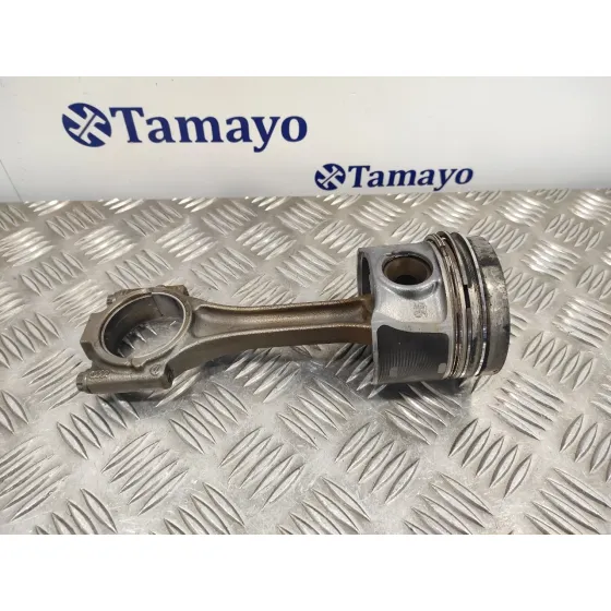 Piston para Seat Altea Xl (5P5)