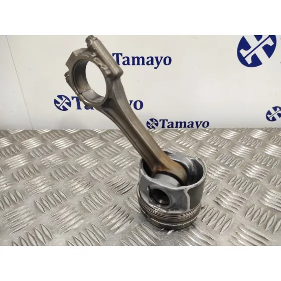 Piston para Seat Altea Xl (5P5)