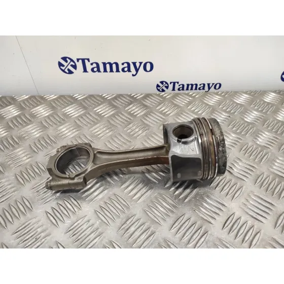 Piston para Seat Altea Xl (5P5)