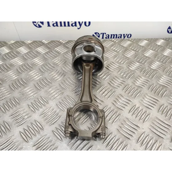 Piston para Seat Altea Xl (5P5)