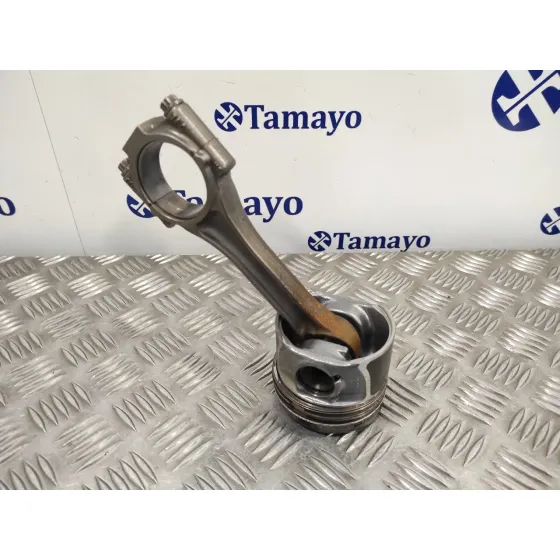 Piston para Seat Altea Xl (5P5)