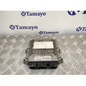 Centralita Motor Uce para Peugeot 307 (S1)