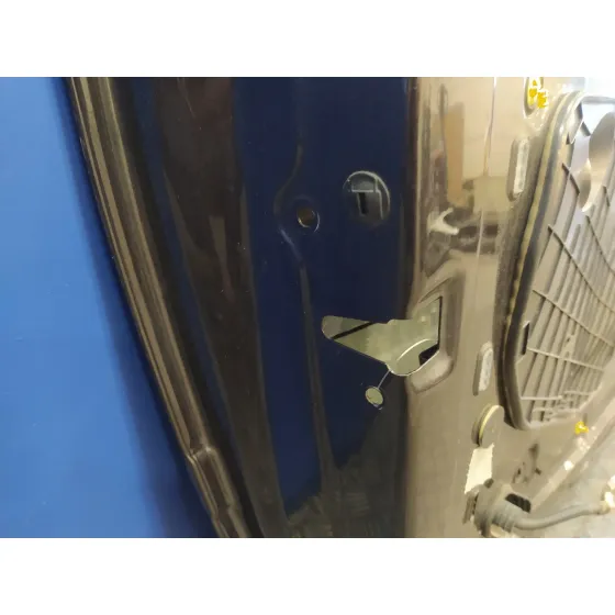 Puerta Delantera Izquierda para Audi A3 (8P)