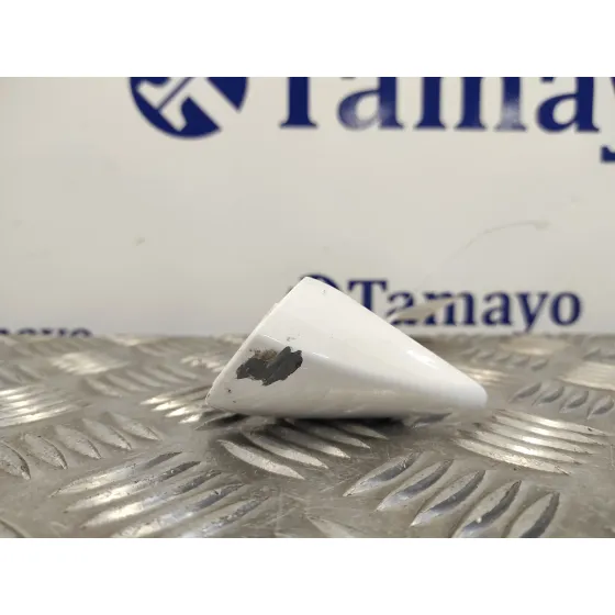 Bombin Puerta Delantera Izquierda para Hyundai Ioniq