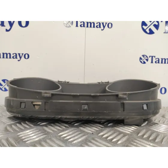 Cuadro Instrumentos para Fiat Bravo (198)