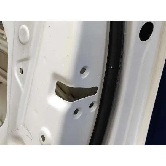 Puerta Delantera Derecha para Hyundai Ioniq