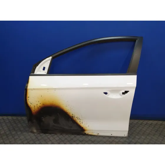 Puerta Delantera Izquierda para Hyundai Ioniq