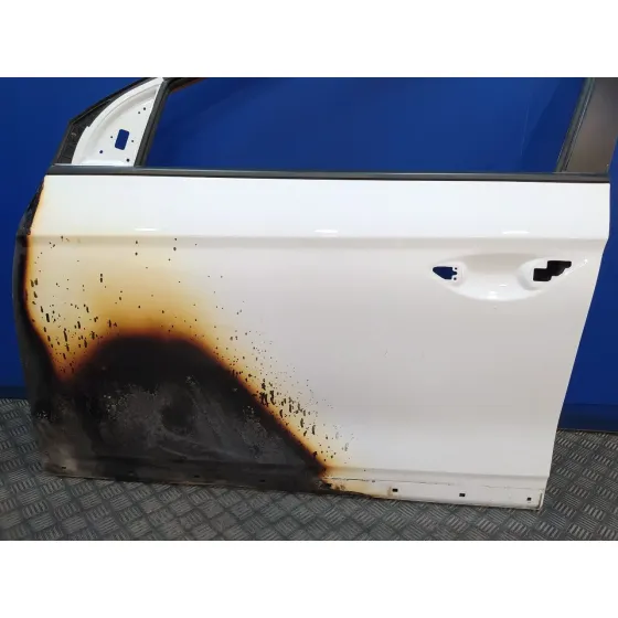 Puerta Delantera Izquierda para Hyundai Ioniq