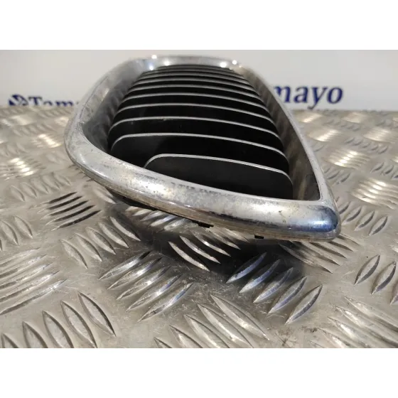 Rejilla Paragolpes Izquierda para Bmw Serie 3 Berlina (E46)