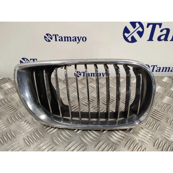 Rejilla Paragolpes Derecha para Bmw Serie 3 Berlina (E46)