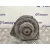 Alternador para Jaguar Xj6/12