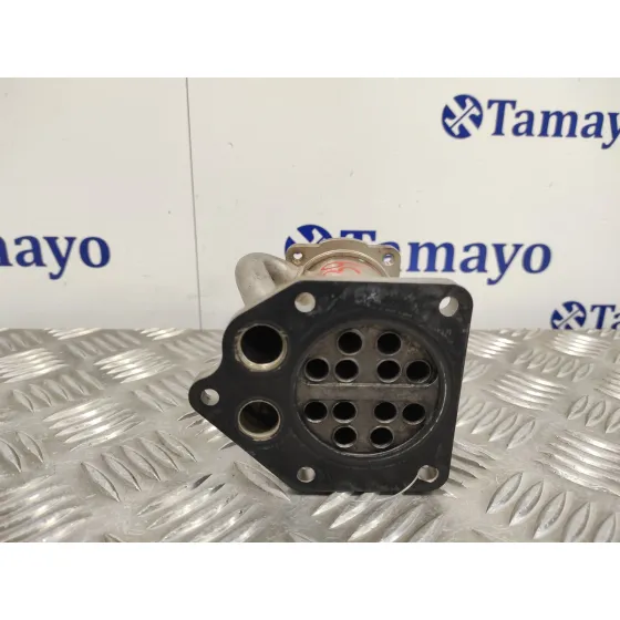 Enfriador Egr para Renault Kangoo (F/Kc0)