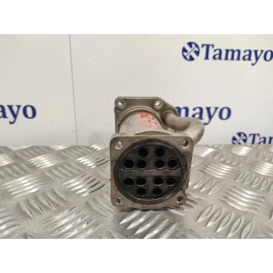 Enfriador Egr para Renault Kangoo (F/Kc0)