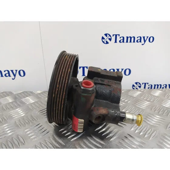 Bomba Direccion para Renault Kangoo (F/Kc0)