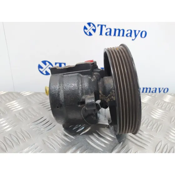 Bomba Direccion para Renault Kangoo (F/Kc0)